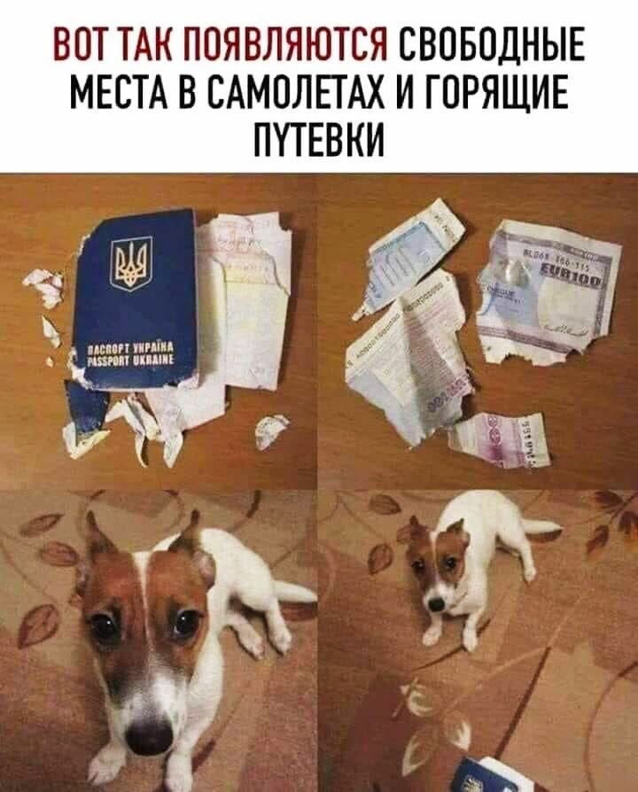 ВОТ ТАК ППЯВЛЯЮТСЯ СВОБОДНЫЕ МЕСТА В САМОЛЕТАХ И ГОРЯЩИЕ ПУТЕВКИ