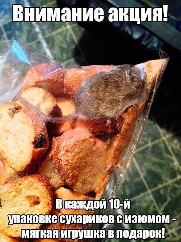 т Внимание акция ъ А тандема и _ ШЗВЁБЁШЗПИНПВЁЭЗЮМПМ Ъ мпгнапз ИПШШНЗ В_ подарок