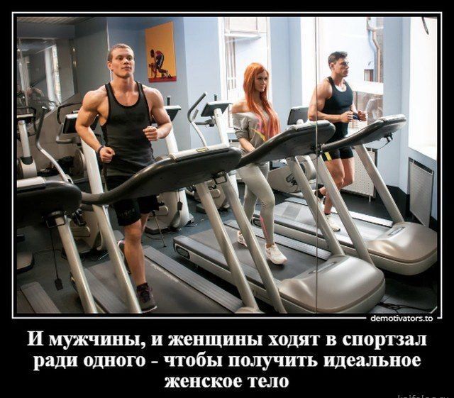 И ПНЬ1 И женщины ходят В спортзал ради 0ДН0Г0 чтобы ПОЛУЧИТЬ идеальное женское тело