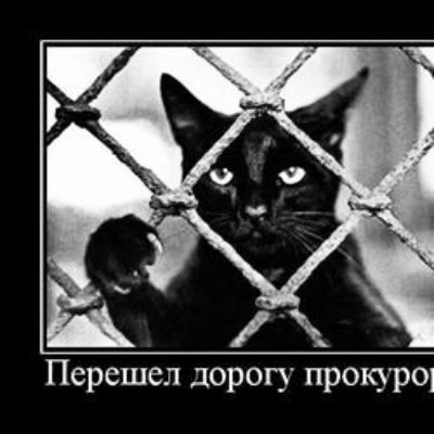 Перешел дорогу ПРОКУР