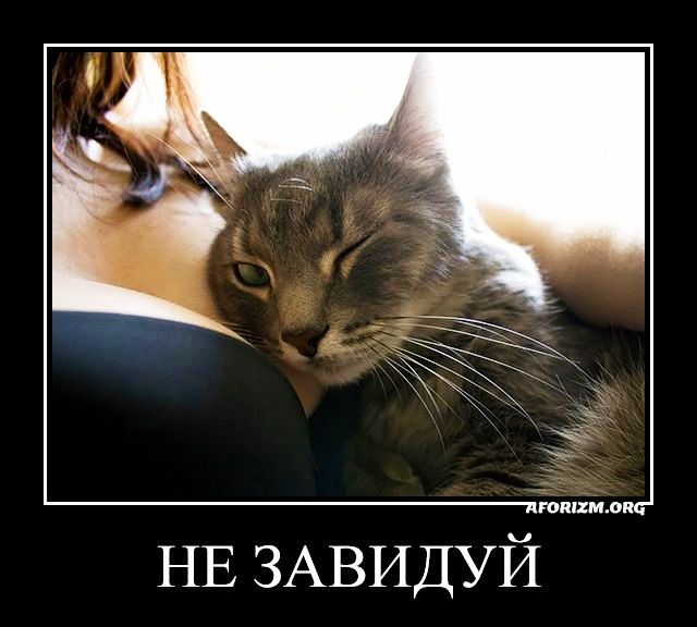го НЕ ЗАВИДУЙ