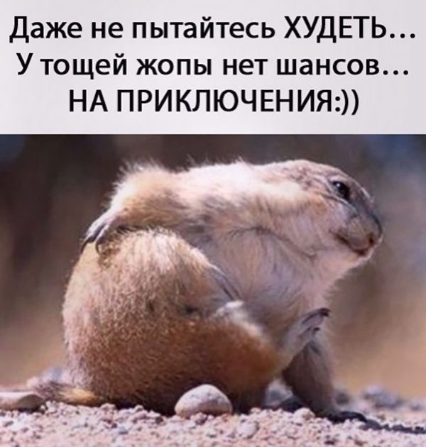 Даже не пытайтесь ХУДЕТЬ Утощей жопы нет шансов НА ПРИКЛЮЧЕНИЯ