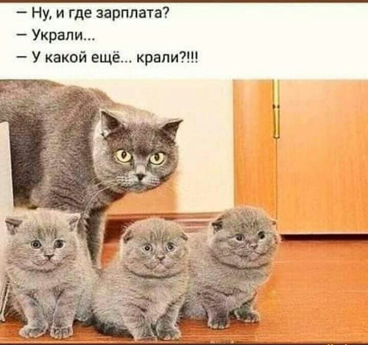 Ну и где зарплата Украли У какой ещё крапи