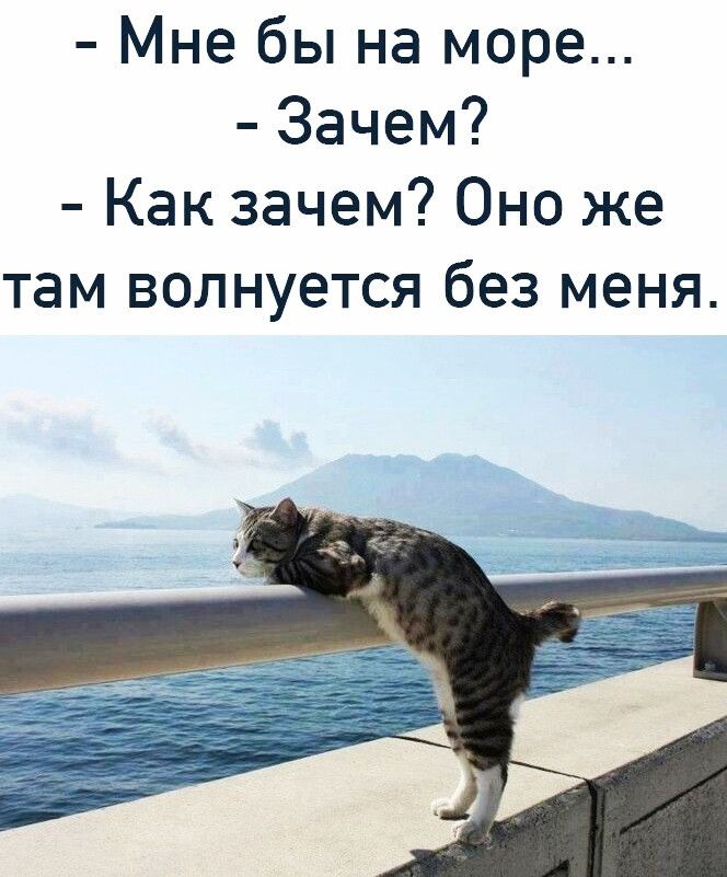 Мне бы на море Зачем Как зачем Оно же там волнуется без меня