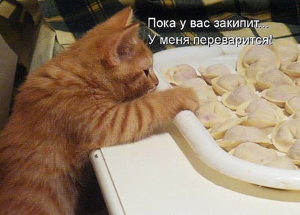 Пока у вас закипи: