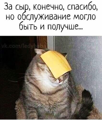 За сы конечно спасибо но о служивание могло быть и получше