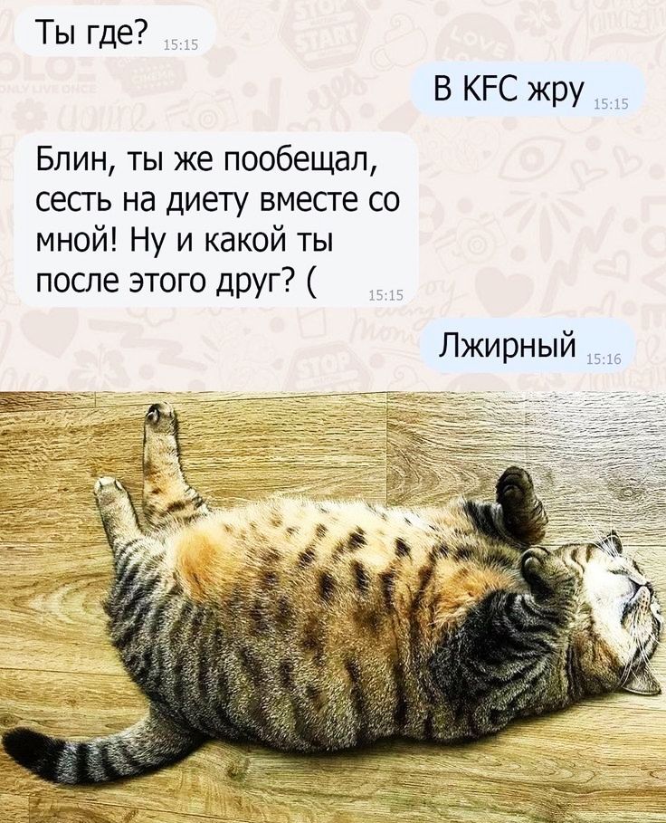Ты где В КРС жру _ Блин ты же пообещал сесть на диету вмесге со мной Ну и какой ты после этого дРУг Лжирный