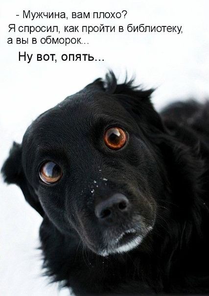 7 Мужчина вам ппохо Я спросил как пройти в библиотеку а вы в обморок Ну вот опять