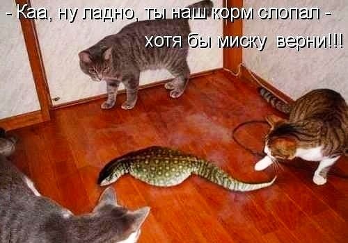 _ ги ПОП С дни в у
