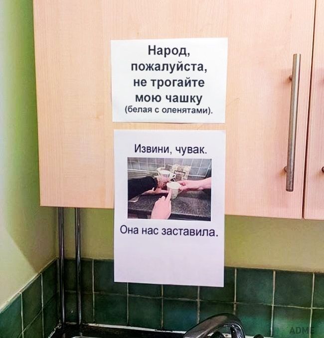 Народ пожалуйста не трогайте мою чашку белая с опенитами Извини чувак Она нас заставила