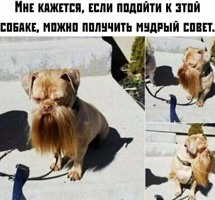 МНЕ КПЖППЯ ЕСЛИ ППдПЙТИ К ППЙ ЕПЕПКЕ МПЖНП ППЛНЧИТЬ МНДРЫЙ ШВП