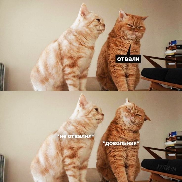 и