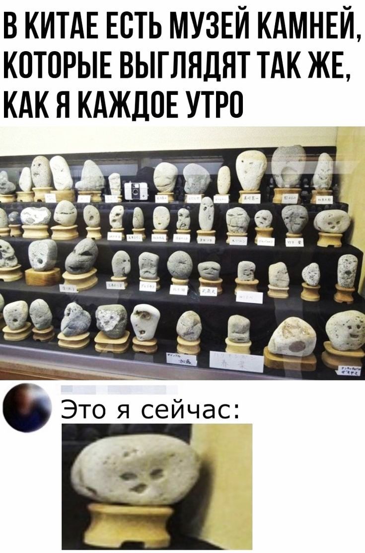 в КИТАЕ Есть МУЗЕЙ КАМНЕЙ КОТОРЫЕ выглядят ТАК ЖЕ КАК Я КАЖДОЕ утро