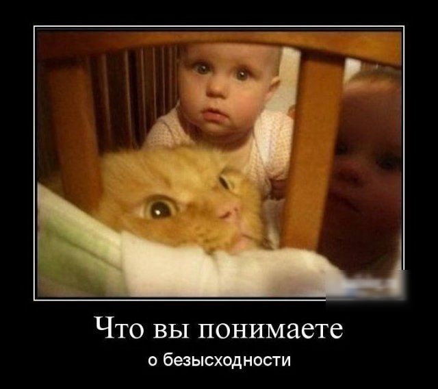 Что вы понимаете о безысходности