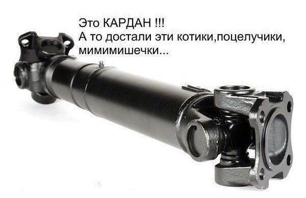 Это КАРДАН А то достали эти котикипоцелучики мимимишечки