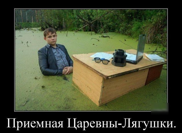 Приемная Царевны Лягушки