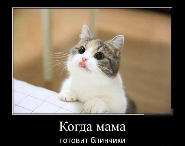 Когда мама ГОТОВИТ бЛИНЧИКИ