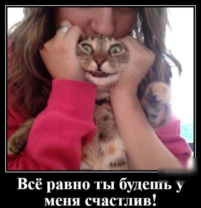 А1 А _ Всё равно ты будешь у меня счастлив