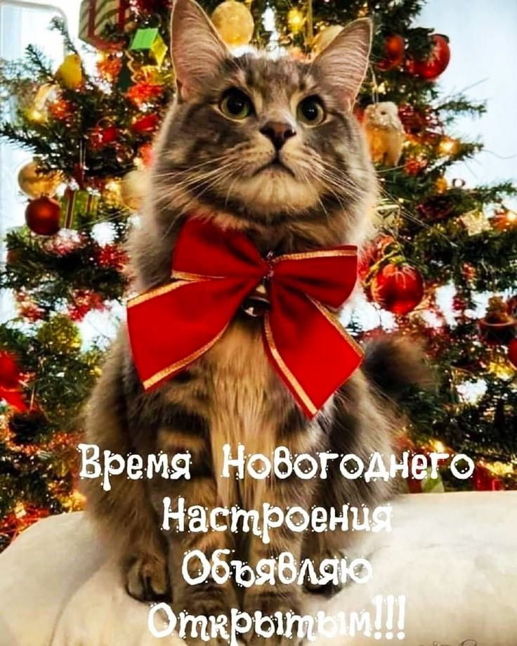Времз нпеаго. О настровн щ:'