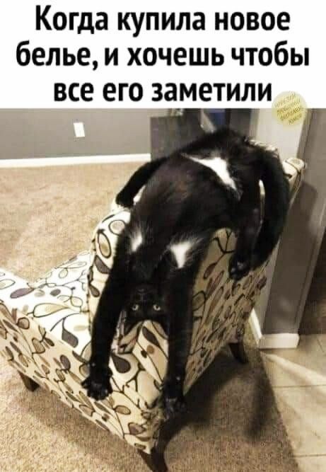 Когда купила новое белье и хочешь чтобы ВСЕ ЕГО Заметили