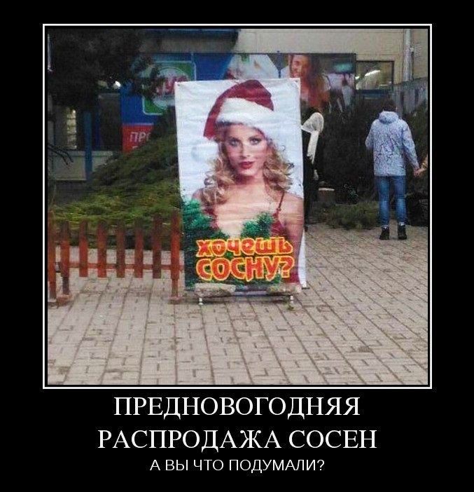 ПРЕДНОВОГОДНЯЯ РАСПРОДАЖА СОСЕН А ВЫ ЧТО ПОДУМАЛИ