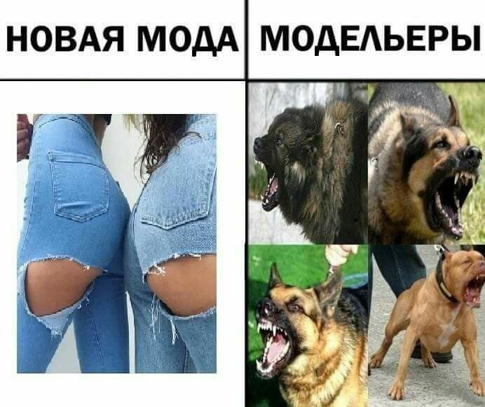 НОВАЯ МОДА МОДЕАЬЕРЫ