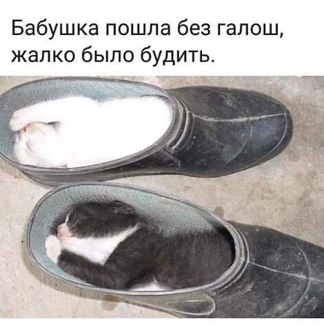 Бабушка пошла без галош жалко было будить