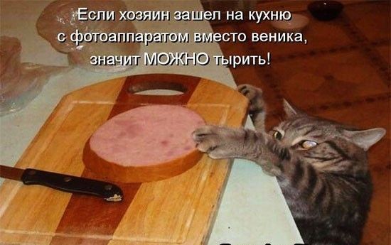 Ёйёгыт МОДЫ Ю г