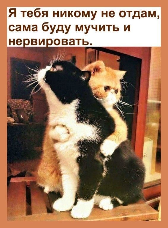 Я тебя никому не отдам сама буду мучить и не ВИ ОВЭТЬ