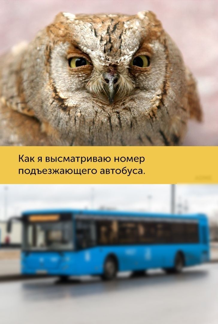 Как Я ВЫСМЭТРИВЭЮ номер ПОДЪЭЗЖЭЮЩЕГО автобуса
