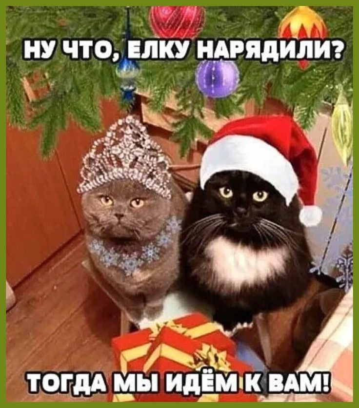 и НУ ЧТОЛИУ НАРЯДИЧЛИ іі мы идём кв вдм