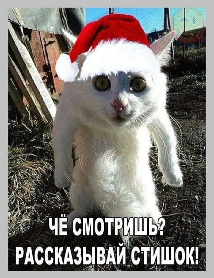 РАССКАЗЫВАИ АстиШоЮ