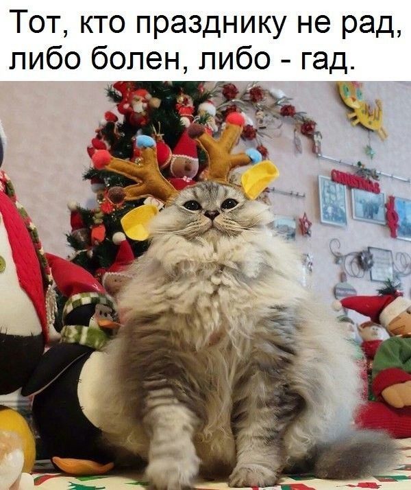 Тот кто празднику не рад пибо болен пибо гад