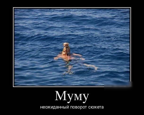 неожиданный поворот сюжета