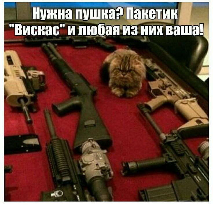 нужна пушка2 пакетик 0 