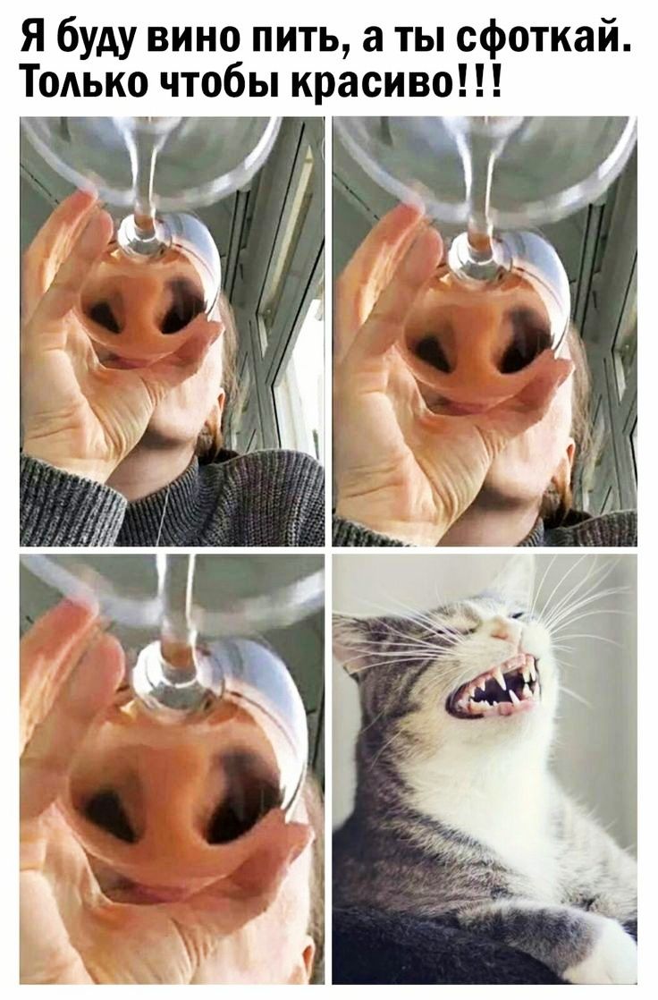 Я буду вино пить а ты сфоткай