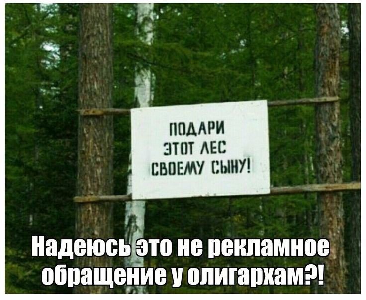 ППААРИ ЗТПТ АЕБ СВОЕМУ СЫНУ падении это не рекламное обпащеуие олигапкам