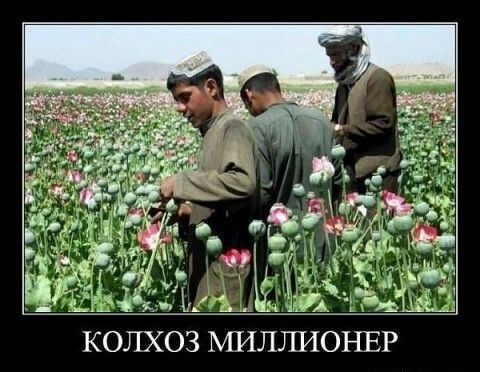 КОЛХОЗ ЬЩЛТШОНЕР