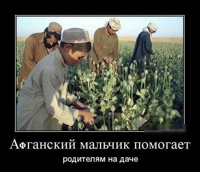 АФГаНСКИЙ мальчик помогает родителям на даче