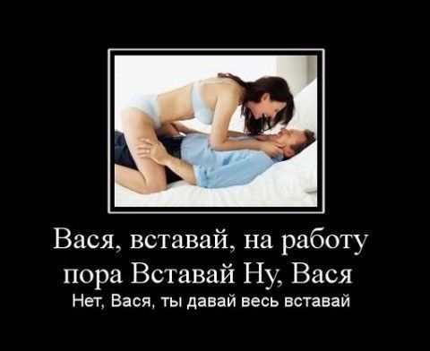 Вася вставай на работу пора Вставай Ну Вася НеТ Вася ты давай весь вставай