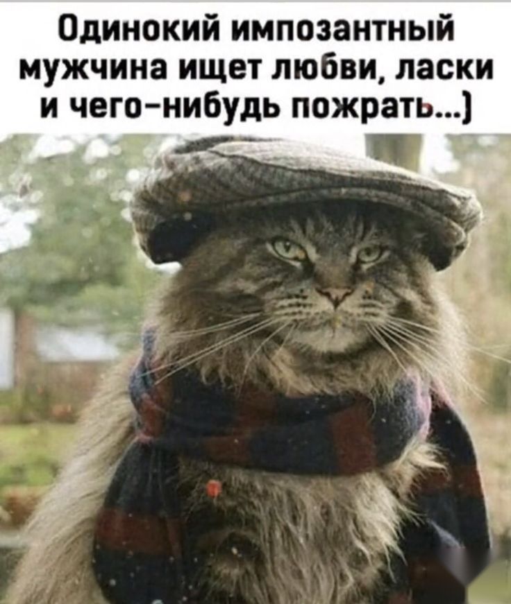 Одинокий импозантный мужчина ищет любви ласки и чего нибудь пожрать