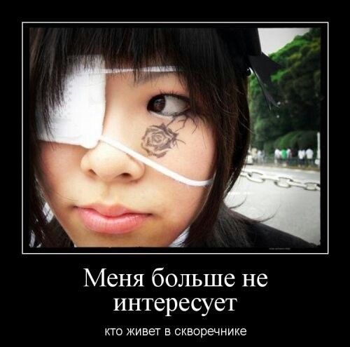н меня больше не интересует кто живет в скворечнике