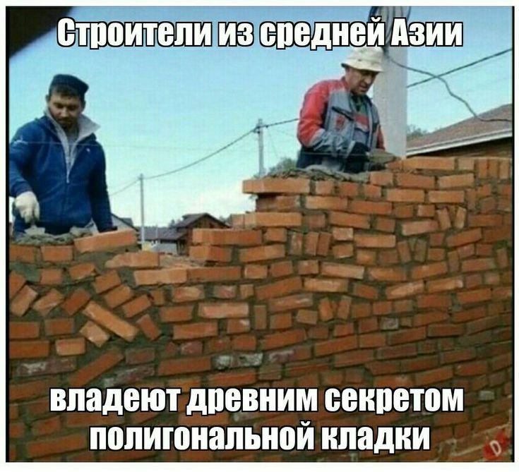 владеют дпевним БЕНШЭЮМ П0ЛИЮНЁШЬН0Й ипадни