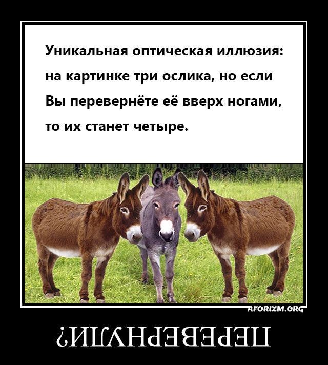 Уникальная оптическая ИЛЛЮЗИЯ на картинке три ослика НО если Вы перевернёте её вверх ногами ТО ИХ станет четыре гоните ИЦАНаНЯЕШНЦ