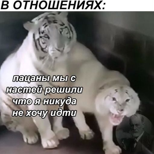 В ОТНОШЕНИЯХ
