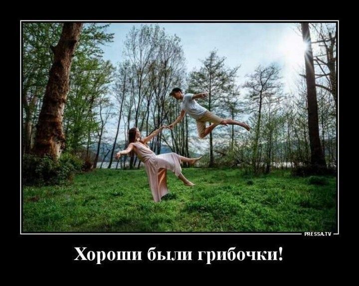 визиту Хороши были грибочки
