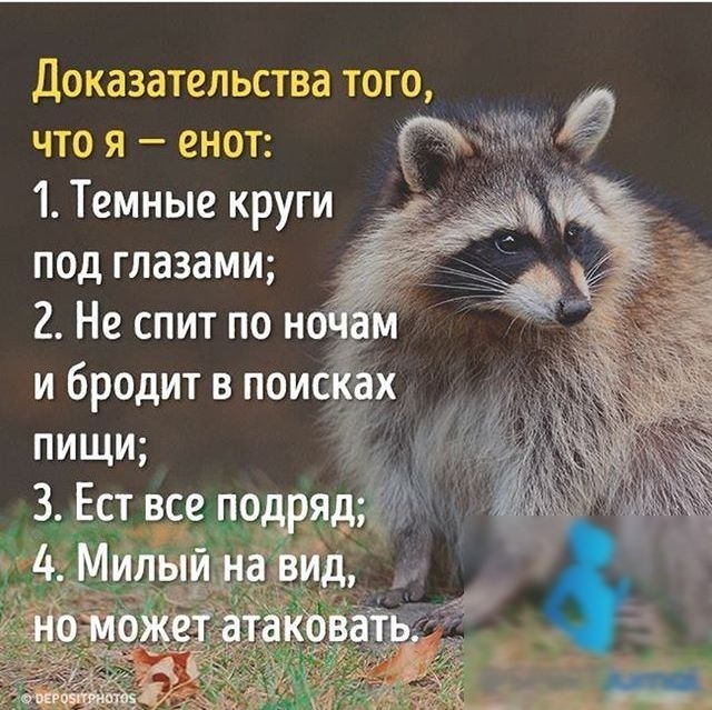 Доказ аьепьсгва его что я енш 1 Темные круги под глазами 2 Не спит по н в и бродит в пои пищи д 3 Ест все _п