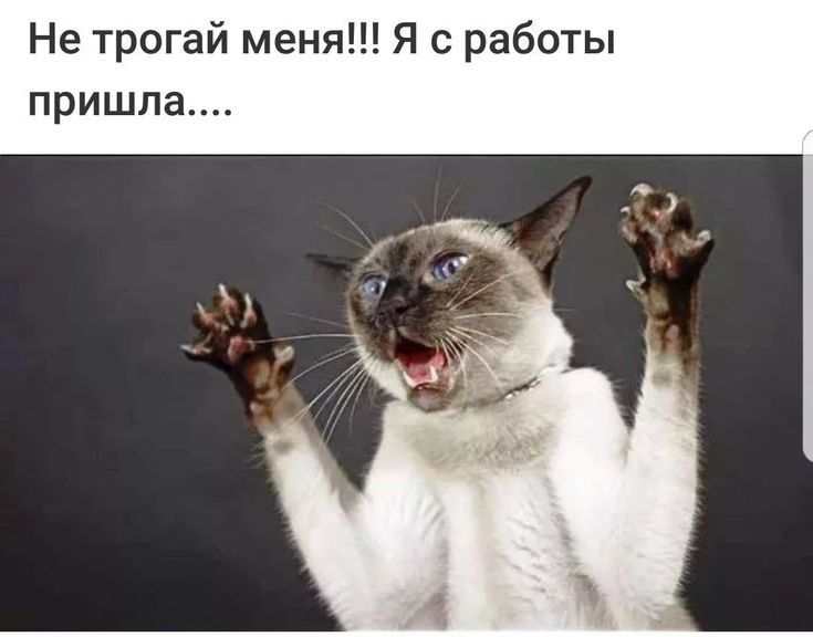 Не трогай меня Я с работы пришла