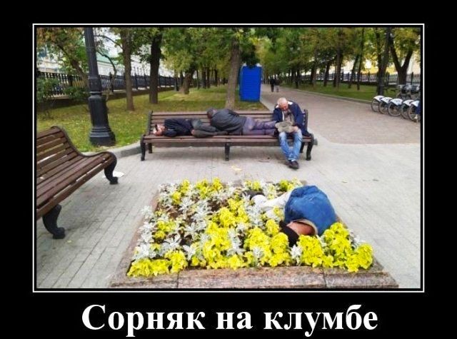 Сорняк на клумбе