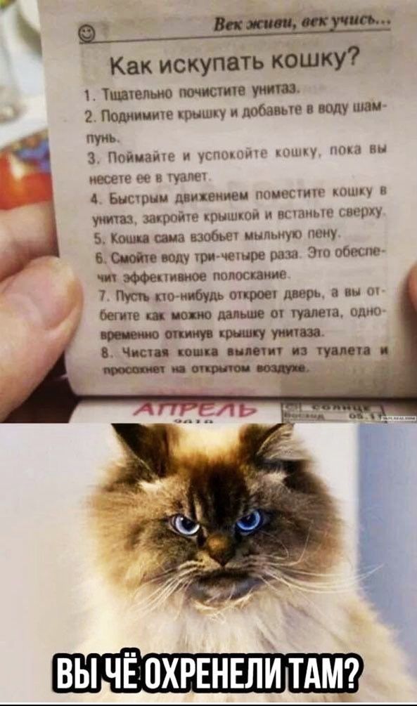 Бишоп ш Как искупать кошку Тщачелью 2 Помнит крышку и добавив в полу шли пуиь 3 Ппйиаичн и ими ц нс ни песен по и чат высшим движении инь пгт минц и Маз икрой рпшши и ип шмн шпху 5 Коши ша шоб мыльную цену 6 1 воду ричешре рам 3 от чп восени ное тшосшиип 7 чо нибудь сирот дверь 3 вы бегите можно выше в туши одно спим утят в Чили копии или и гуппи _